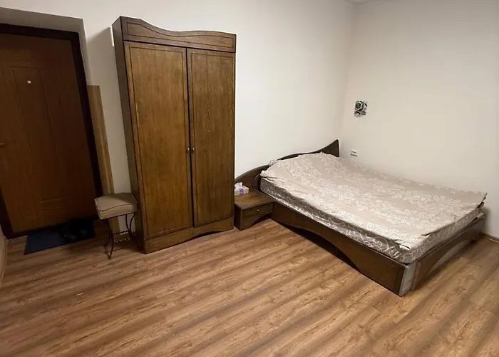 затишна 1-кімнатна в центрі львова * Leópolis